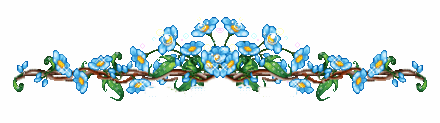 /Files/images/043.gif